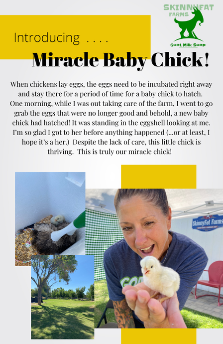 Introducing our Miracle Chick!