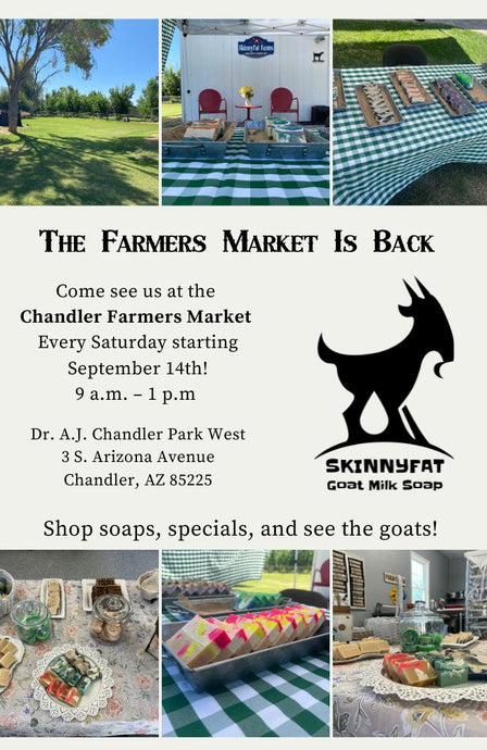 We are Back at the Chandler Farmer's Market