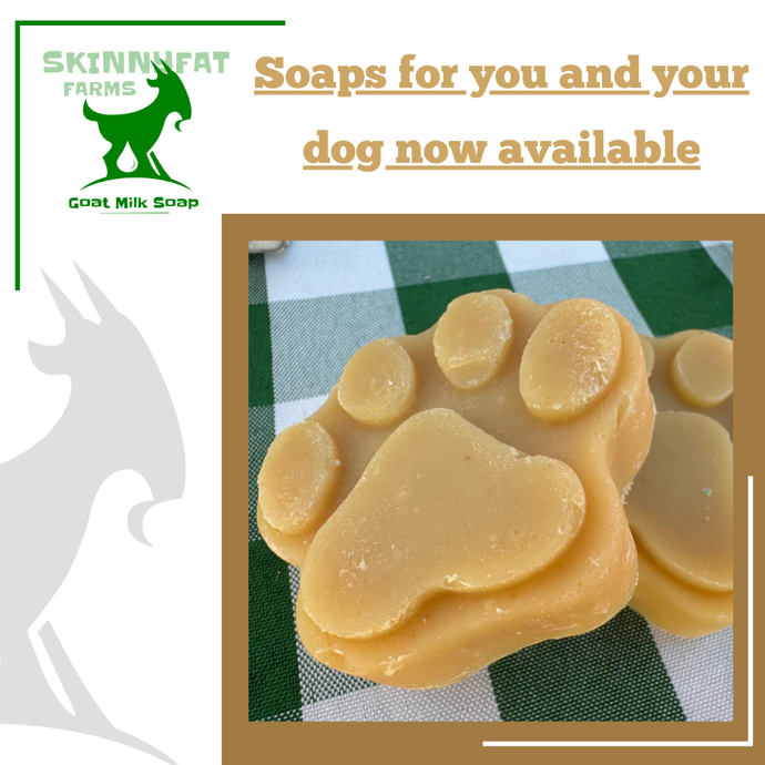 New Soaps for your Pets!