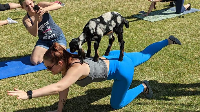 Farm yoga with the Kids!!!