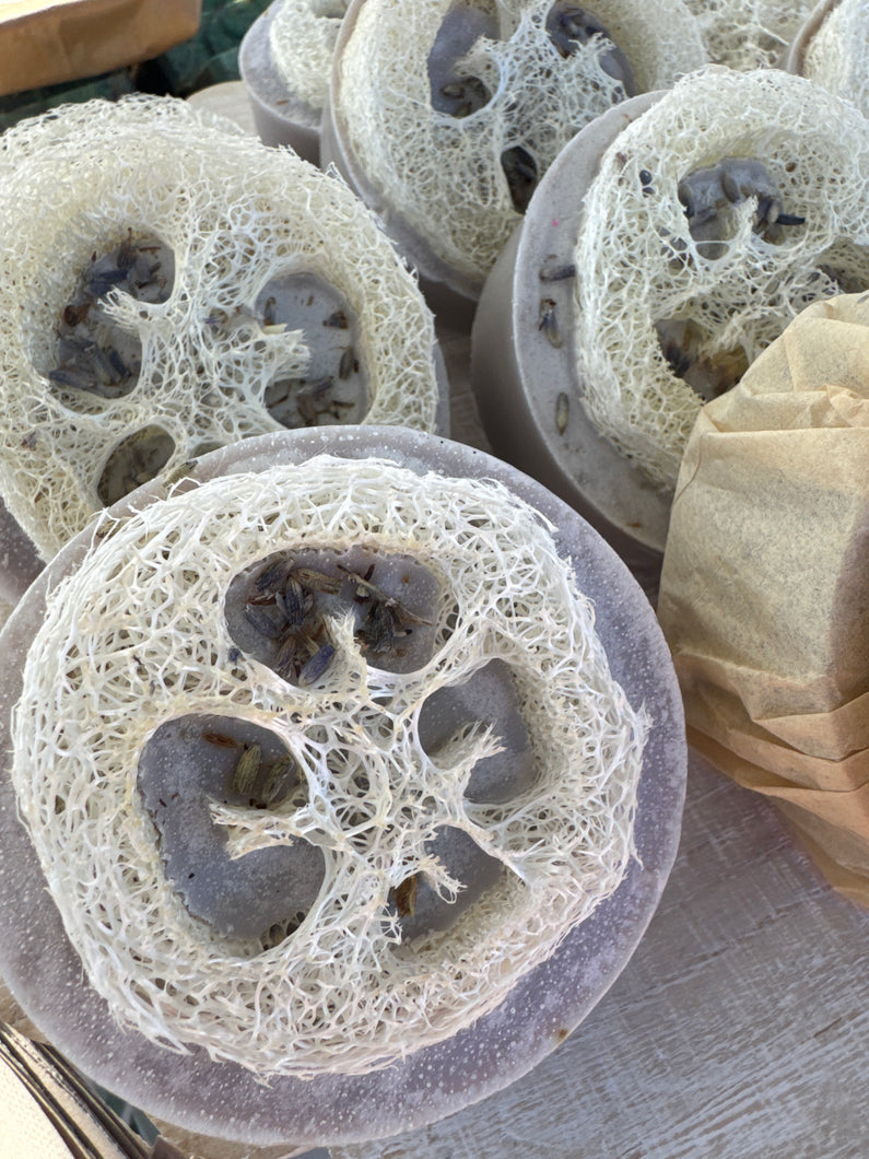 Lavender Loofah Goat Milk Round Soap