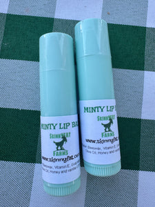 Minty Lip Balm